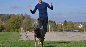 Faire du sport avec son chien : le matériel pour des sorties actives sans risque